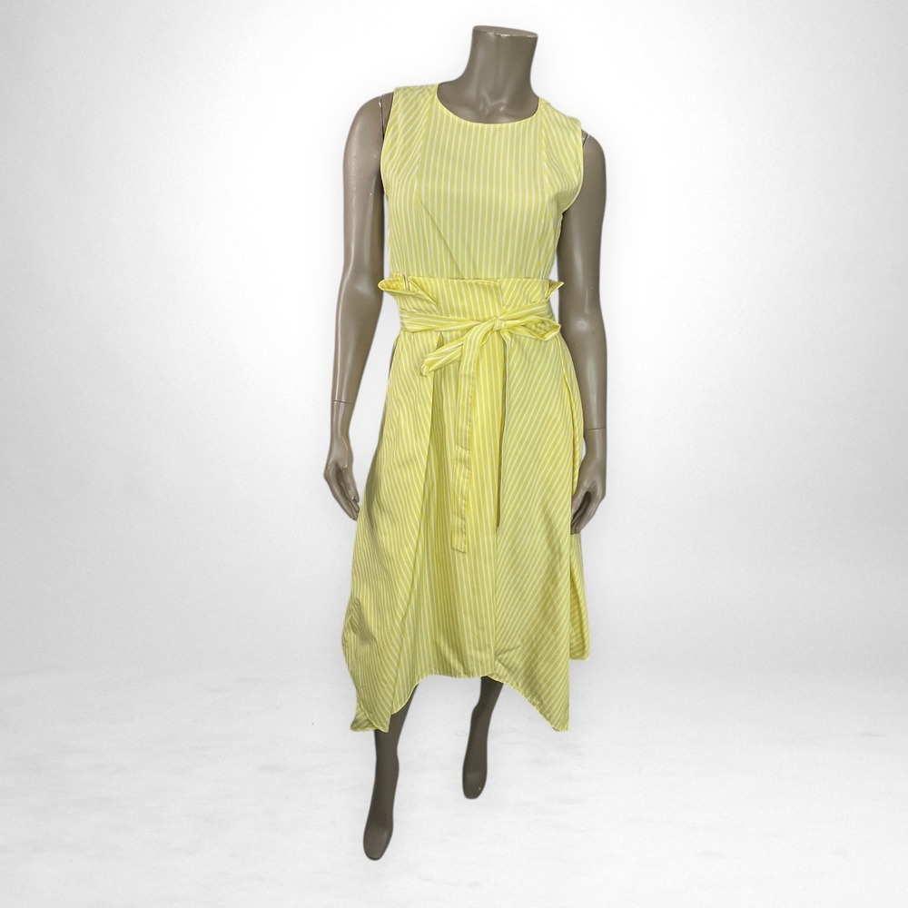 COS Sleeveless Stripped Dress with Pleated‎ Waist 10